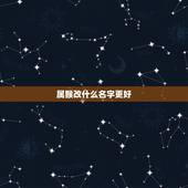 属猴改什么名字更好，适合属猴人幸运的 名