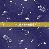 十大深水龟排名图片，十大凶猛龟排名是怎样的？