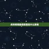 虎的婚姻最佳配偶是什么属相，女虎的最佳配偶是什么