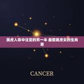 属虎人命中注定的另一半 最爱属虎女的生肖男