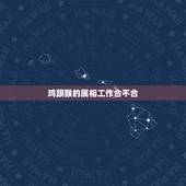 鸡跟猴的属相工作合不合，属猴和属鸡的合财吗