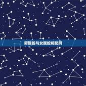 男属蛇与女属蛇相配吗，属蛇男和属蛇女合适吗
