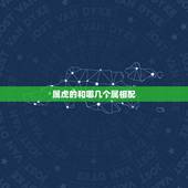 属虎的和哪几个属相配，属虎的女人和什么属相最配