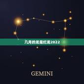 几月的龙是烂龙2022，烂辉龙武器推荐