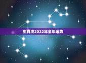 生肖虎2022年全年运势，2023年属虎人的全年运势
