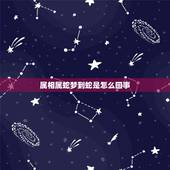 属相属蛇梦到蛇是怎么回事，属蛇做梦梦见蛇是什么意思