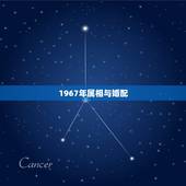 1967年属相与婚配，64年属龙女配67年属羊男