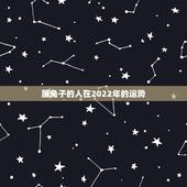 属兔子的人在2022年的运势，1987属兔的十年大运