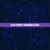 生肖马和哪个属相婚配比较好，属马的属相婚配表，属马和什么属相最配