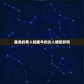 属龙的男人和属牛的女人婚配好吗，男的属龙与女的属牛可婚配吗