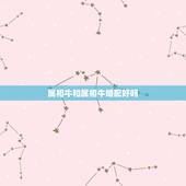 属相牛和属相牛婚配好吗，属牛的和属牛的配吗？