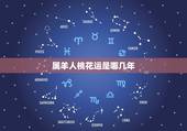 属羊人桃花运是哪几年，91属羊人三大劫2022 年