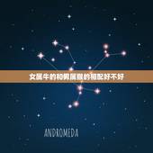 女属牛的和男属猴的相配好不好，属牛的，属相和哪个属相最配？