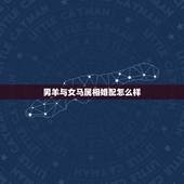 男羊与女马属相婚配怎么样，男羊女马，婚配是否合适？