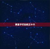 黑宝子打白航三十六，北京黑宝子结局是什么？
