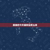 属猪的今天偏财运怎么样，1971年属猪正财运偏财运在哪个方向怎么开运