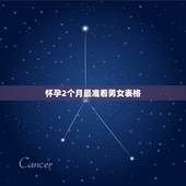 怀孕2个月最准看男女表格，单看胎囊形状我家是明星的茄子形状的、没有数据