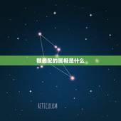 猴最配的属相是什么，属相猴与什么属相相合