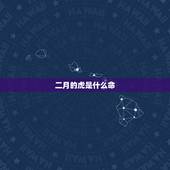 二月的虎是什么命，属虎5月生人的一生