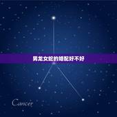 男龙女蛇的婚配好不好，男龙女蛇，从八字上配吗