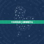 六五年出生12属相属什么，65年属什么生肖配对