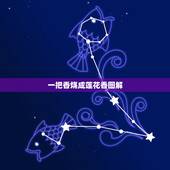 一把香烧成莲花香图解，烧成莲花香代表什么意思