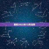 属蛇2022年12月运势，属蛇2021年运势及运程每月运程