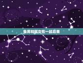 兔男和鼠女在一起后果，女鼠与男兔相生还是相克