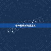 各种动物的交流方式，各种动物的图片