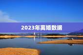 2023年离婚数据，2023年打离婚官司好还是2021？