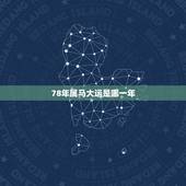 78年属马大运是哪一年，78年属马年运程