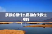 属猴的跟什么属相合伙做生意好，羊年运程2015与属猴合伙做生意好吗