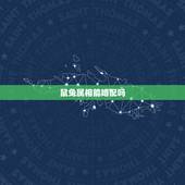 鼠兔属相能婚配吗，属兔的人和什么属相最配 属兔的人的属相婚配