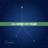 2022白羊座11月11日运势，属狗白羊座男11月11日运势