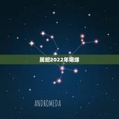 属蛇2022年姻缘，77年属蛇人今年运势