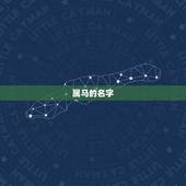 属马的名字，属马的名字怎么取