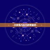 大鳄龟几比几的甲最好，大鳄龟多少cm背甲成形