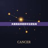 夫妻其实早就命中注定生肖，出轨男女的前世缘分