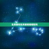 生肖猪和生肖猪婚姻相配吗，十二生肖婚姻配对表相合相克