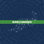 属虎做什么最容易发财，一九八六年属虎，要做什么生意才能挣钱？