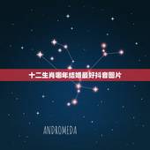 十二生肖哪年结婚最好抖音图片，十二生肖在哪个年龄结婚最好