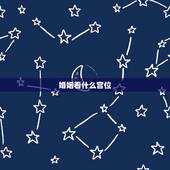 婚姻看什么宫位，请问紫微中离婚后再婚的话应该看哪个宫位~~