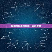 属相合与不合指哪一年出生的，算卦算属相合不合一般算的是阳历生日的属相还