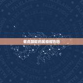 老虎跟蛇的属相相合吗，生肖老虎和蛇能不能配对