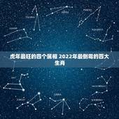 虎年最旺的四个属相 2022年最倒霉的四大生肖