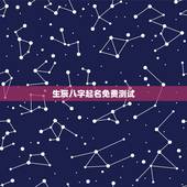 生辰八字起名免费测试，免费测八字起名