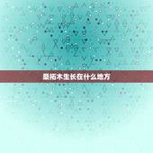 桑拓木生长在什么地方，1973年10月6日生桑拓木命运