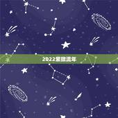 2022紫微流年，2022流年命宫武曲化忌