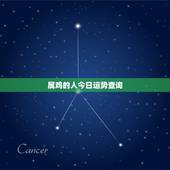 属鸡的人今日运势查询，2022 年生肖鸡