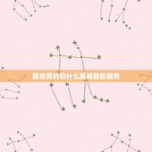 属虎男的和什么属相最配相克，属虎的与什么相冲与什么相克？